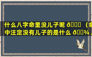 什么八字命里没儿子呢 🐞 （命中注定没有儿子的是什么 🌾 八字）